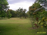 Vendo Excelente Finca con 45 Tareas en Sonador, Bonao, Rep. Dom.