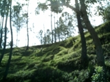 Excelente Terreno En Jarabacoa con Increible Precio