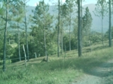 Excelente Terreno En Jarabacoa con Increible Precio - La Vega - Concepción de la Vega