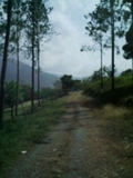 Excelente Terreno En Jarabacoa con Increible Precio - La Vega - Concepción de la Vega