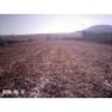 VENDO FAZENDA 400 ALQUEIRES - 600 MIL PES DE CAFÉ PROD - SUL DE MG