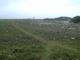 PERU TRUJILLO - VENDO T/.AGRICOLA SECTOR DELICIAS 11,500 M2.