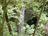 Finca con rios cascada,15.5 hectareas Chiriqui, 700 mts de altitud. - Chiriquí - David