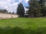 VENDO PEQUEÑO RANCHO DE 1 HECTAREA $890,000