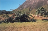 VALE DA MATA - ITAIPAVA - PETRÓPOLIS