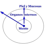 ALERGIA - ASMA  - tos - terapia  natural homeopatica - Dr Fajardo - Lima Metropolitana y Callao - Lima