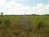Rancho 200 Has. yucatan - Yucatán - Mérida