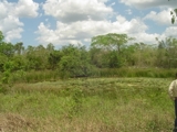 Rancho 200 Has. yucatan - Yucatán - Mérida