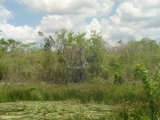 Rancho 200 Has. yucatan - Yucatán - Mérida