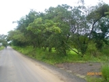 vendo hermoso terreno en gorgona, panamá