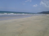 BIENES RAICES NICANOR  VENDE PROPIEDADES CON PLAYA EN SAMANA. - Puerto Plata - San Felipe de Puerto Plata