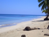 BIENES RAICES NICANOR  VENDE TERRENO CON PLAYA EN SAMANA.