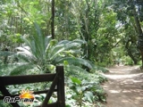 SITIO - CHACARA - 76.000m² em ABRANTES - Salvador - Bahia