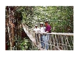 TERRENO NA ILHA TURÍSTICA VERA CRUZ-BA SOMENTE R$ 22.000!!!TERRAIN 