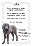 ESTOY MUY TRISTE, PERDI A MI FAMILIA!!!