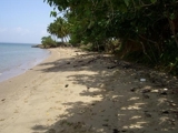 BIENES RAICES NICANOR  VENDE 1,300,000 METRO  CON PLAYA EN SAMANA.