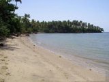 BIENES RAICES NICANOR  VENDE 1,300,000 METRO  CON PLAYA EN SAMANA. - Puerto Plata - San Felipe de Puerto Plata
