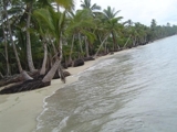 BIENES RAICES NICANOR  VENDE 2,800,000 METRO  CON PLAYA EN SAMANA.