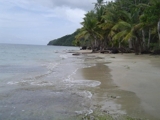 BIENES RAICES NICANOR  VENDE 2,800,000 METRO  CON PLAYA EN SAMANA. - Puerto Plata - San Felipe de Puerto Plata