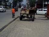 CARROÇAS INVADEM O RECIFE(Problema social que ninguém resolve)