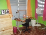 Cuarto Para Señorita, Mayagüez Terrace