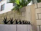 SUPERPICOS Venta e Instalacion