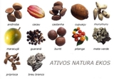 Cosmética Natural Brasileña  - Carabobo - Valencia