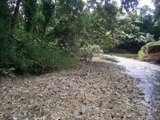 Finca con 1,823 tareas, Bonao, Rep.Dom. U$250,000