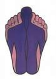 ****www.bambooshiatsu****, espacio de bienestar..