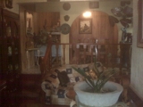 VEJAR Y ASOCIADOS  CASA NE LA COL. ISSAC ARRIAGA