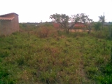 VENDO LOTE DE TERRENO EN SANTA CRUZ BOLIVIA