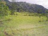 Finca con 1,823 tareas en Bonao. RD$7 mm (neg).