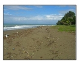 VENDO Y ALQUILO PROPIEDADES FRENTE A LA PLAYA, REF, Nby016