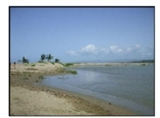 PARAMOUNT PROPERTIES REAL ESTATE VENDE: REF, Nby014