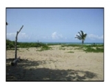 PARAMOUNT PROPERTIES REAL ESTATE VENDE: REF, Nby014