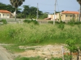Sl101-cuba1_thumb