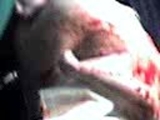 MÁNCORA- CONSULTORIO MÉDICO FLORES BUISSON - RATING VIDEOS 6/XI/08