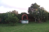 VENDO GRANJA EN JAUJA TONALA JALISCO - Jalisco - Guadalajara