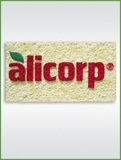 Logotipos florerias empresas Tf 5225694 www.camelyfloreria.com