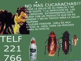 exterminacion de cucarachas - Lima Metropolitana y Callao - Lima