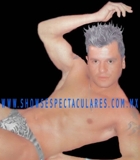 STRIPPERS,AUTENTICOS,CHIPPENDALES,SHOW,TANGAS,DESPEDIDAS,58862446