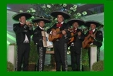 Mariachis e buffet Mexicano