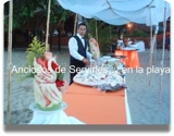 CENAS NAVIDEÑAS GOURMET. PAELLAS EN VIVO. PASAPALOS 