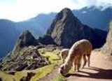 Machu Picchu-Camino del Inca-Cusco-Lima-Tenemos oficinas en BsAs!!