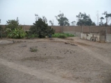 TERRENO OCACION $3600 ZAPALLAL - Lima Metropolitana y Callao - Lima