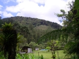 sitio perto sp beira rio meio da saudade