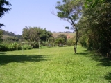 Empresa Festa  Evento sitio PERTO SP 11 36676357