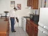 FUMIGACION CASAS, DEPARTAMENTOS, COCINAS   - Lima Metropolitana y Callao - Lima