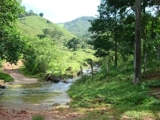 Fazenda com 29 alqueires