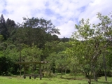 sitio perto de sp  feriado 11 36676357